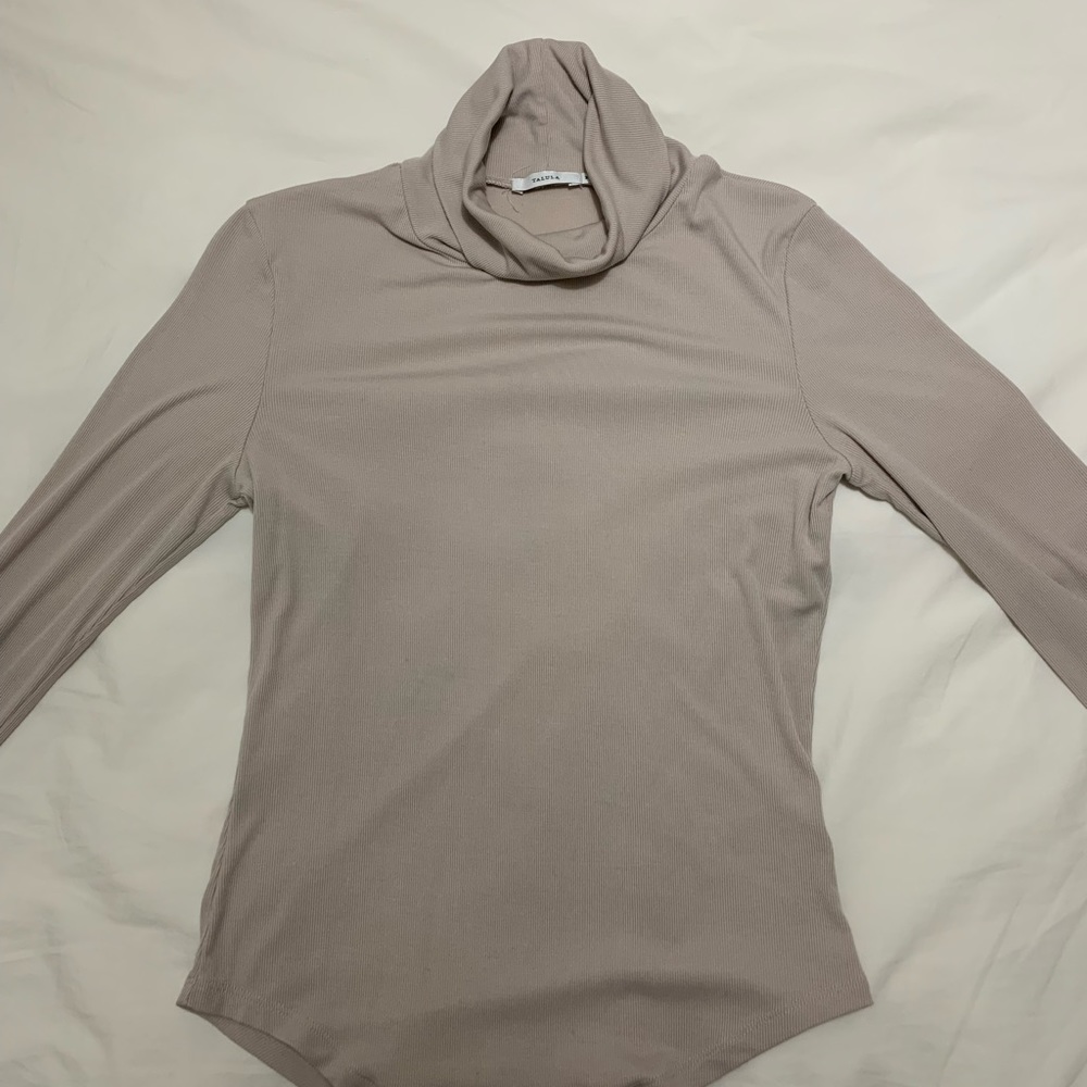 Aritzia Talula Longsleeve turtleneck